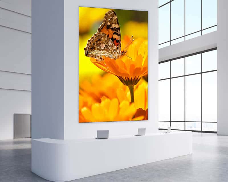 Video Walls in Portrait Mode