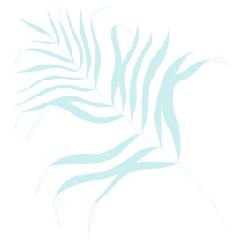 shape
